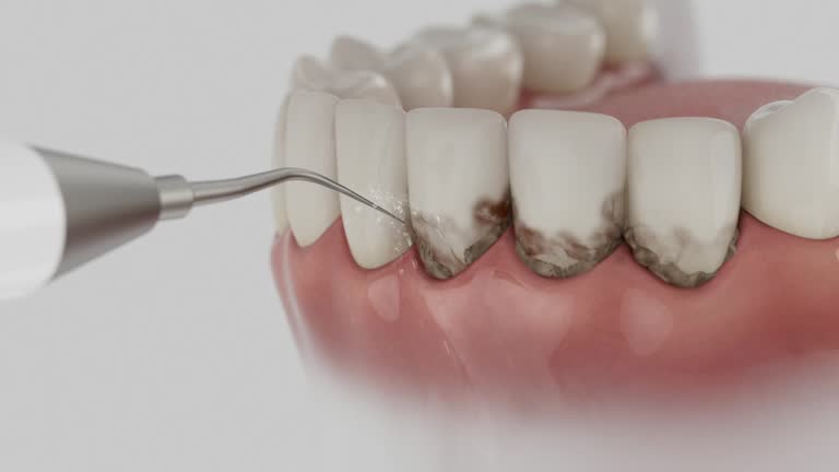 Reliable Dental contractor in Pinewood, FL by Dentist Open Now